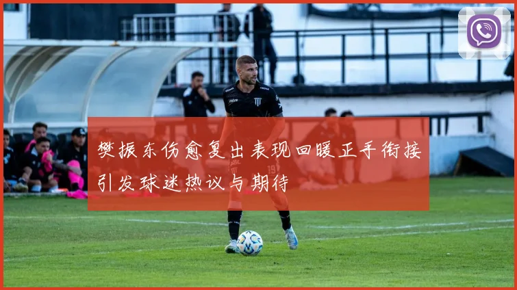 樊振东伤愈复出表现回暖正手衔接引发球迷热议与期待