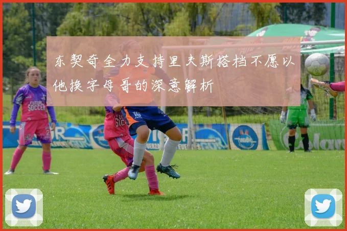 东契奇全力支持里夫斯搭档不愿以他换字母哥的深意解析